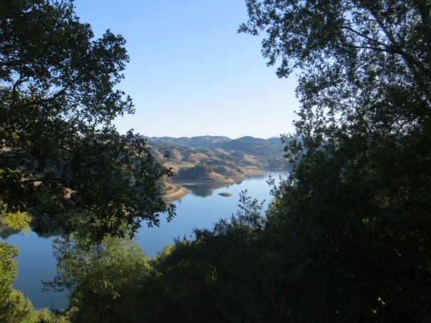 Peeking through the trees for a glimpse of Briones Reservoir (photo credit: Cathryn)