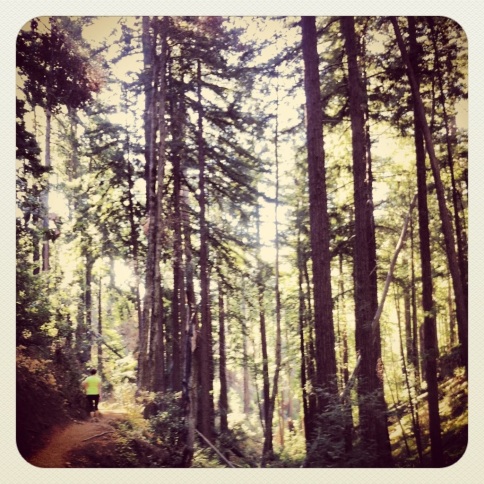 Hiking through the Redwoods.